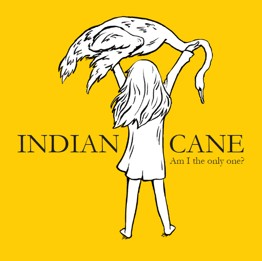 Med et råt, uforsødet og repetitivt musikalsk udtryk stiller Indian Cane lytteren spørgsmålet : Am I the only one?