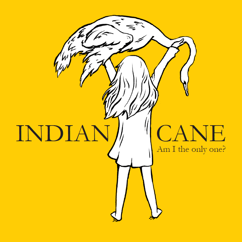 Med et råt, uforsødet og repetitivt musikalsk udtryk stiller Indian Cane lytteren spørgsmålet : Am I the only one?