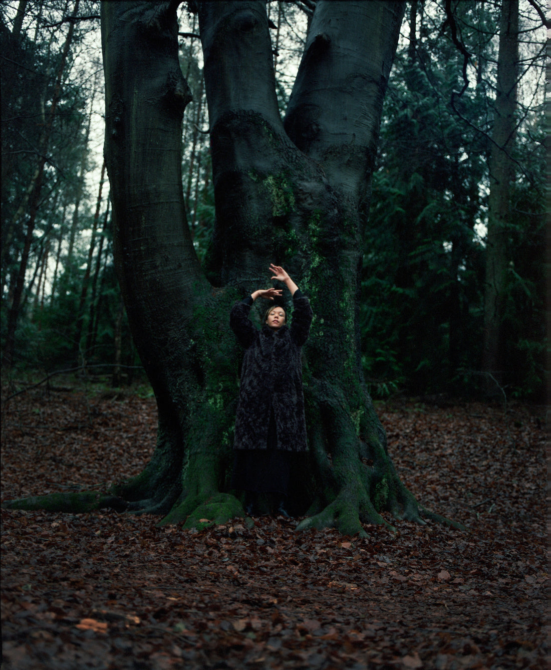 Lotus Noir is manifesting a dream partner